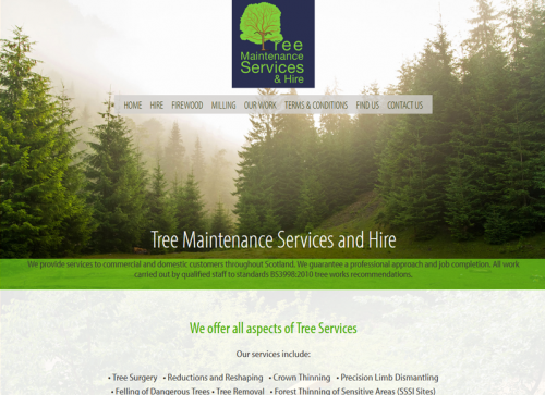 Tree Maintenance Services and Hire